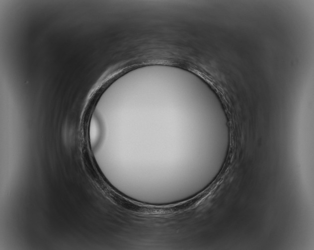X0000085080198200703051115