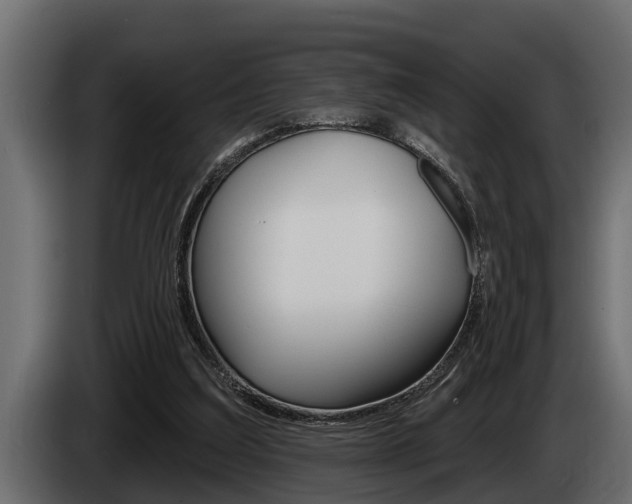 X0000085080203200703051115