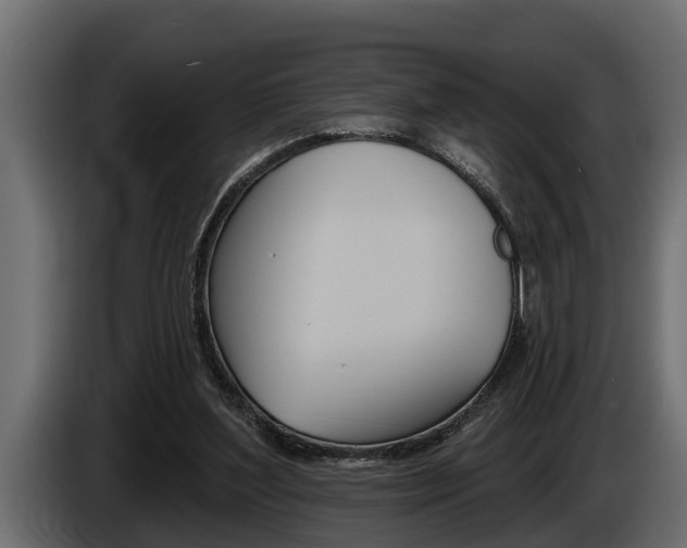 X0000085080204200703051115