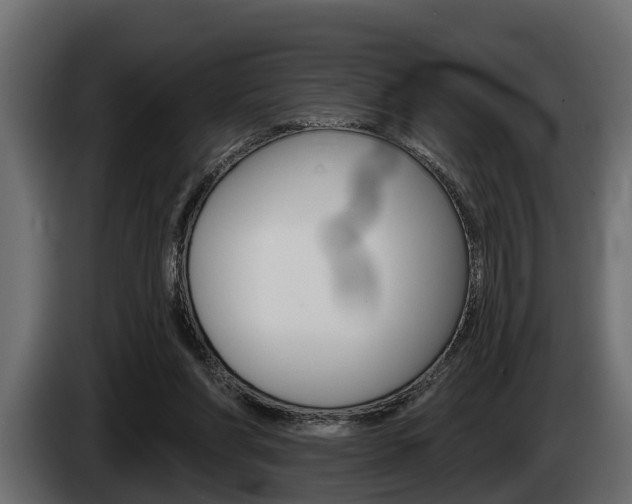 X0000085080206200703051115