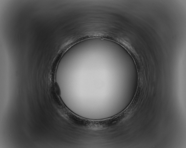 X0000085080207200703051115