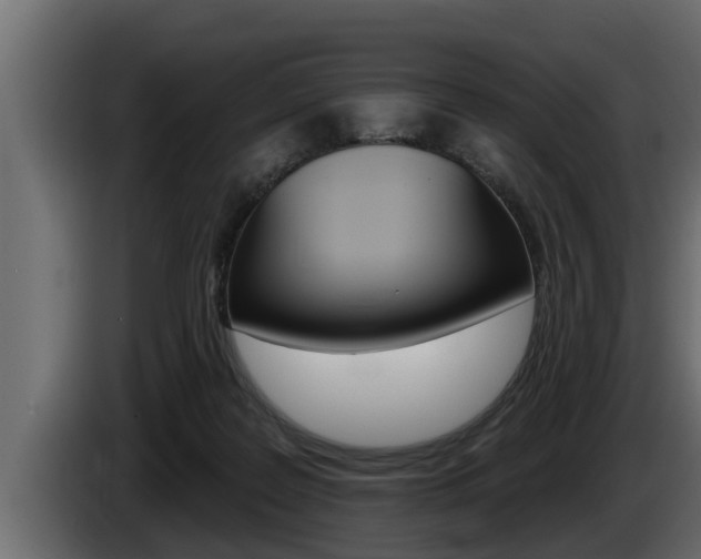 X0000085080219200703051115