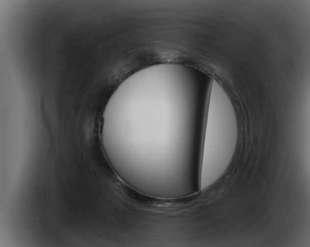 X0000085080221200703051115