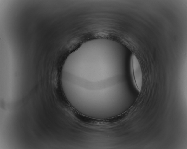 X0000085080223200703051115