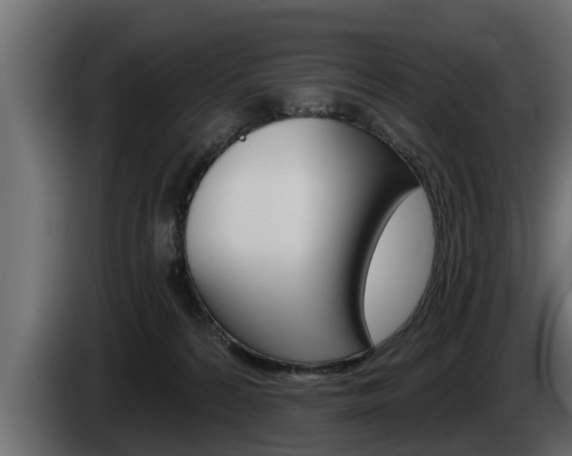 X0000085080224200703051115