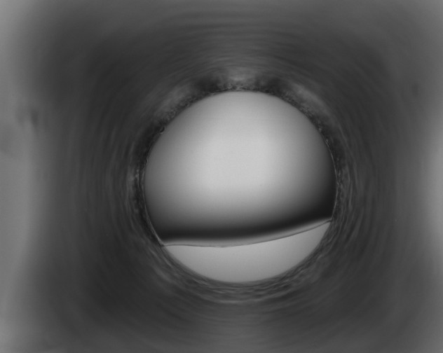 X0000085080225200703051115
