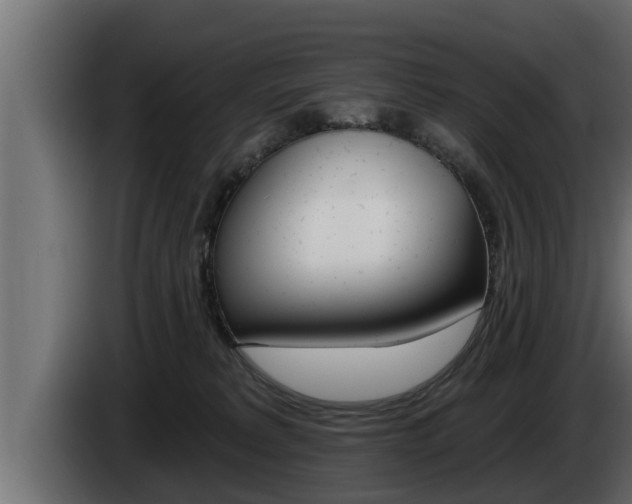 X0000085080229200703051115