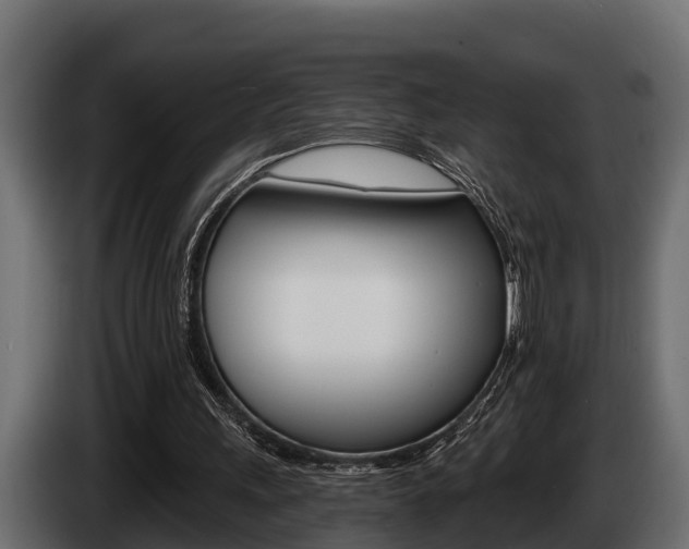 X0000085080243200703051114