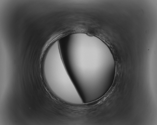 X0000085080245200703051114