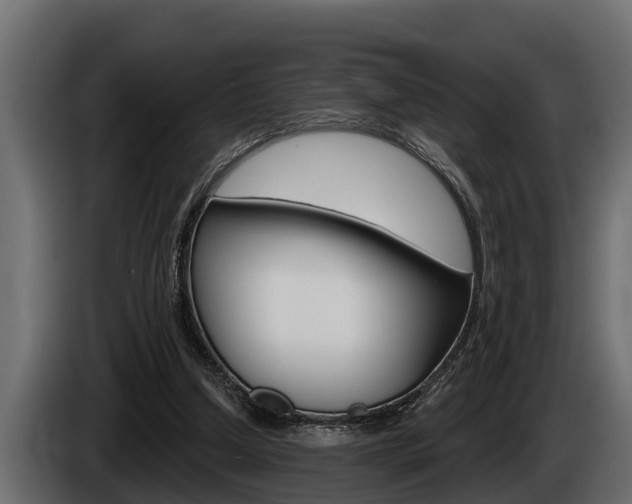 X0000085080250200703051114
