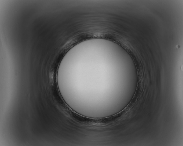 X0000085080262200703051114
