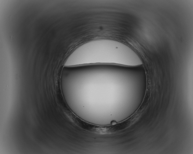 X0000085080265200703051114