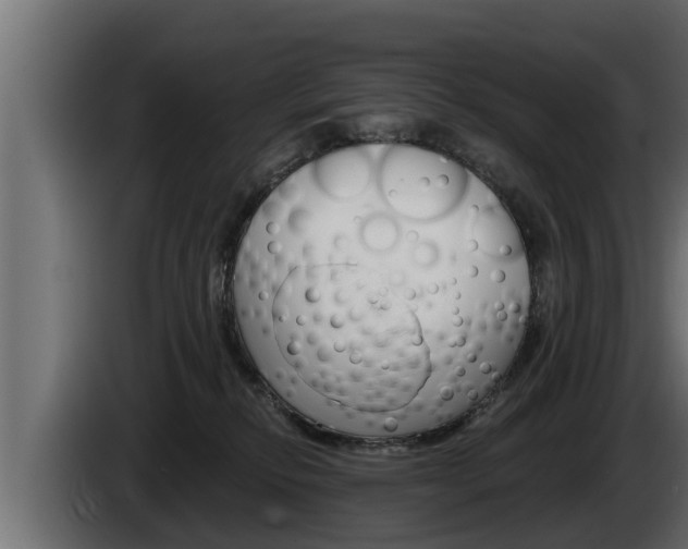 X0000085080278200703051115