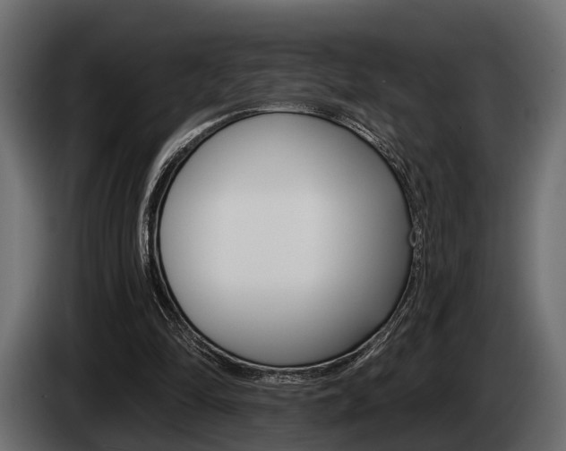 X0000085080294200703051114