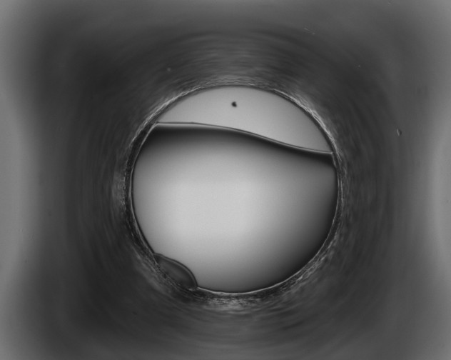 X0000085080297200703051114