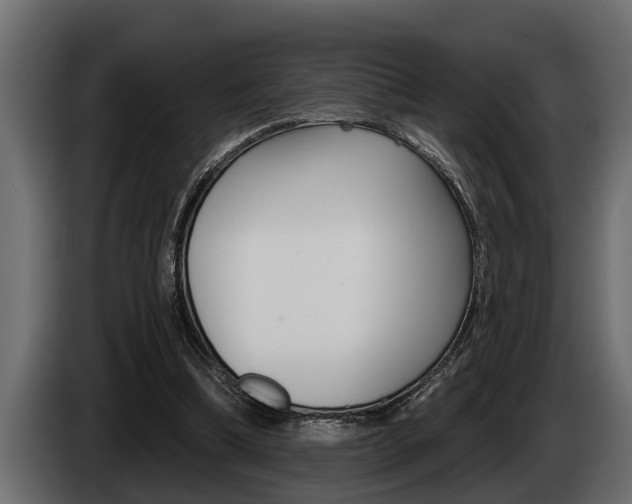 X0000085080298200703051114