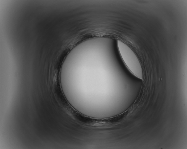 X0000085080315200703051114
