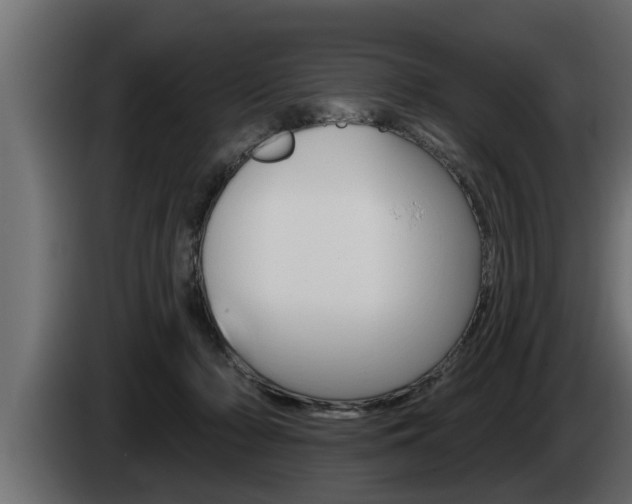 X0000085080318200703051114