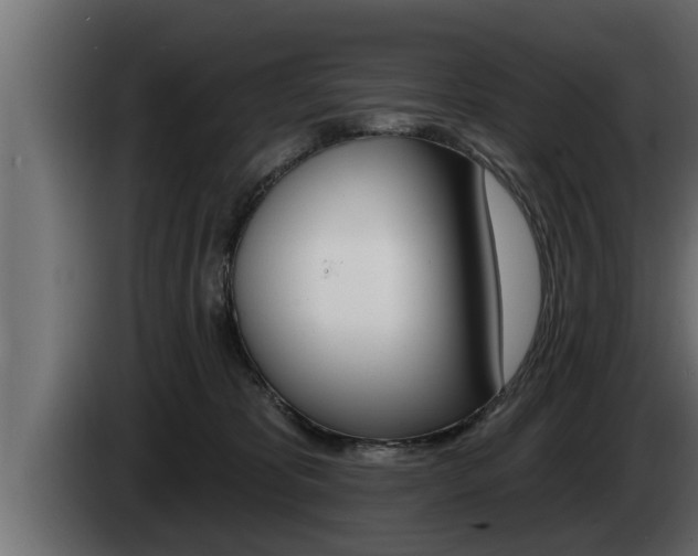 X0000085080325200703051114
