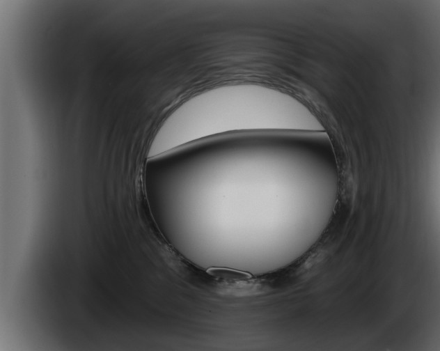 X0000085080329200703051114