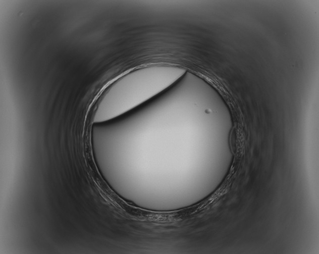X0000085080338200703051113