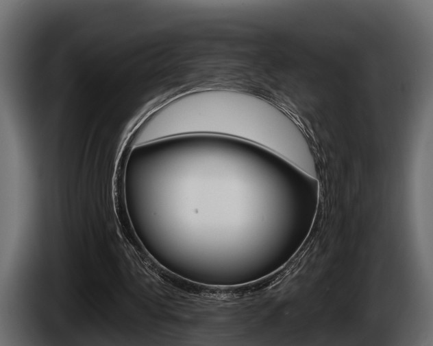 X0000085080340200703051113