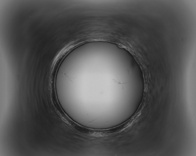 X0000085080341200703051113