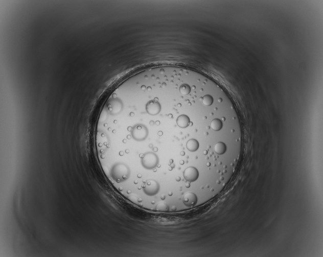 X0000085080346200703051113