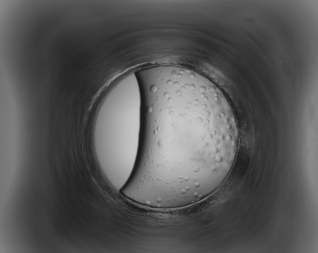 X0000085080347200703051113