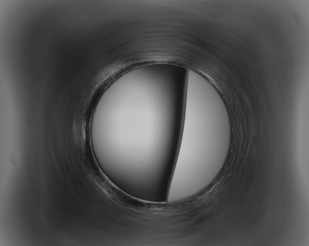 X0000085080350200703051113