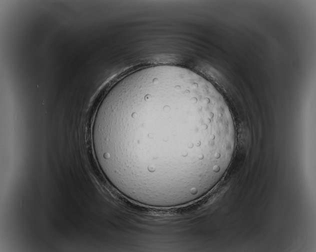 X0000085080351200703051113