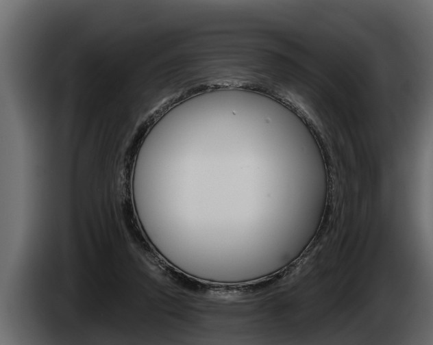X0000085080354200703051113