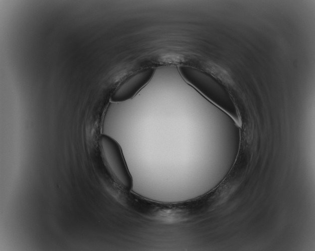 X0000085080364200703051113