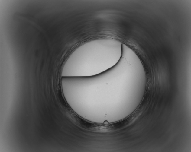 X0000085080365200703051113