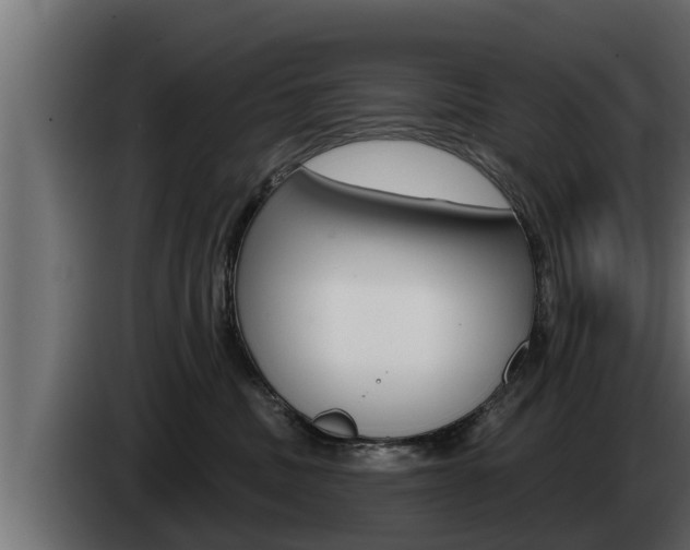 X0000085080379200703051113