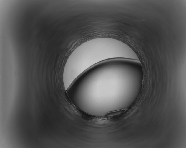 X0000085080384200703051113
