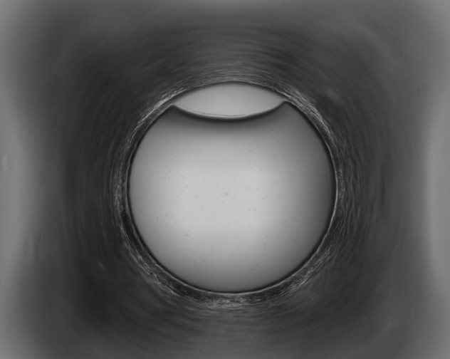 X0000085080386200703051113