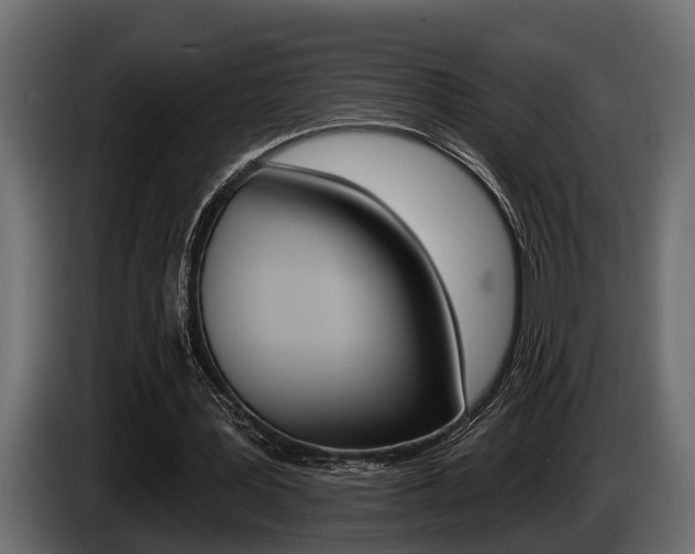 X0000085080387200703051113