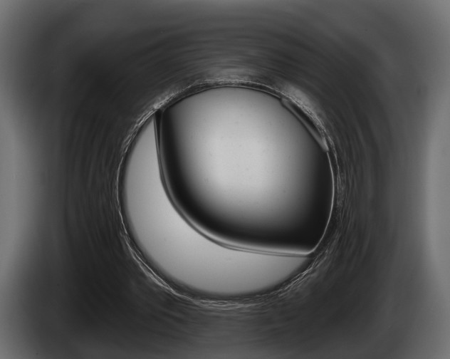 X0000085080389200703051113