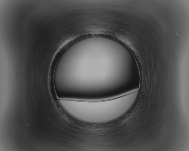 X0000085080391200703051113