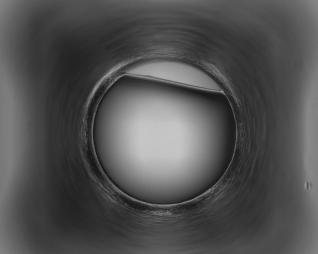 X0000085080392200703051113