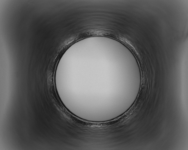 X0000085080394200703051113