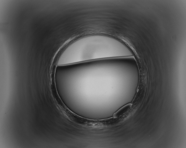 X0000085080395200703051113