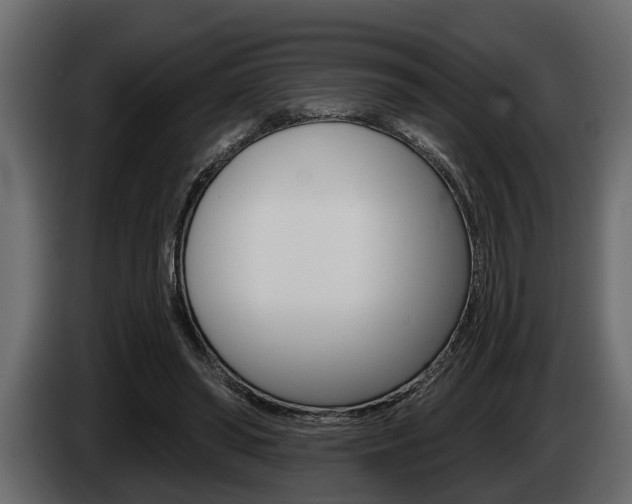 X0000085080398200703051113