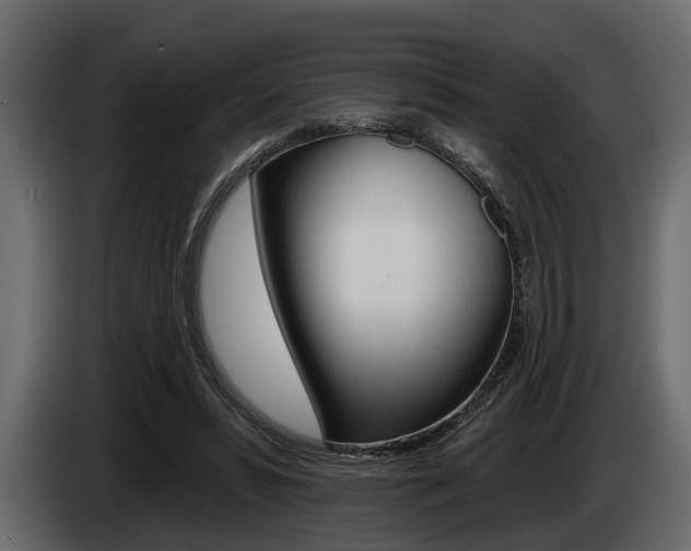 X0000085080399200703051113