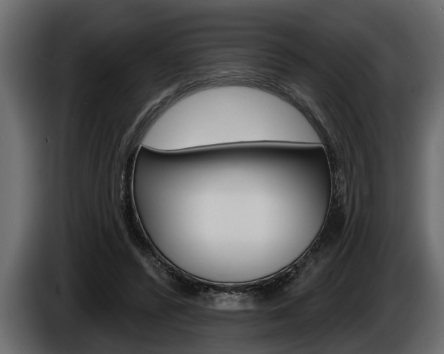 X0000085080400200703051113
