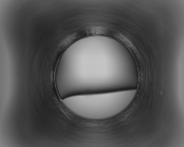 X0000085080401200703051113