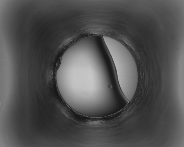 X0000085080407200703051113