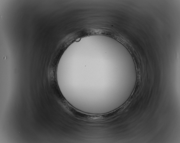 X0000085080410200703051113