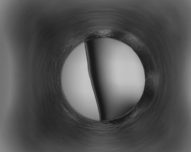X0000085080412200703051113